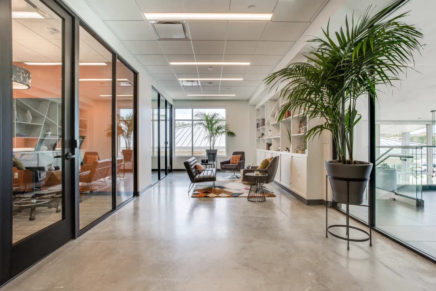 FUSE Workspace - Bee Cave